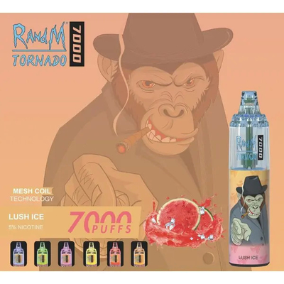 Douane14ml RADNM Beschikbare Vape Verstuiver 7000 Rookwolken 45 Aroma's E Cig