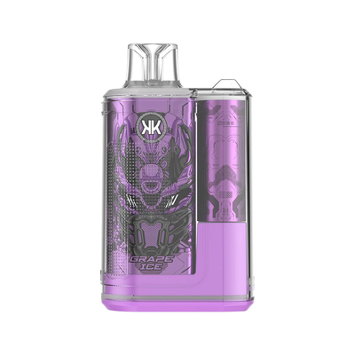 Eenmalige Vaporizer Pen Oplaadbare ECK KK 12000 Puffs 5% Nicotine Fancy Taste Vapes