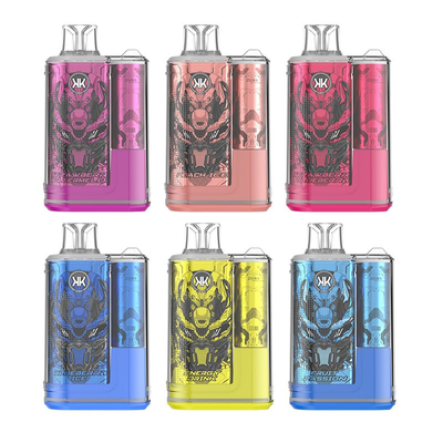 Eenmalige Vaporizer Pen Oplaadbare ECK KK 12000 Puffs 5% Nicotine Fancy Taste Vapes