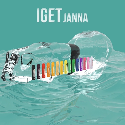 1.6ml 450 Rookwolken Beschikbare Vape Pen Pod Device IGET JANNA Disposable